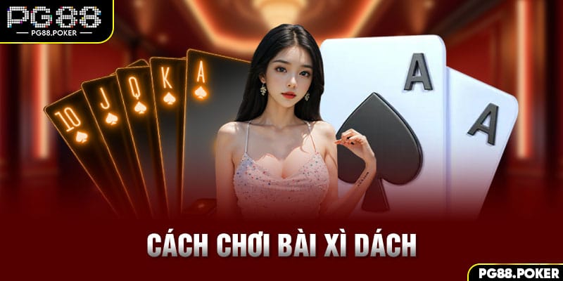 Cách Chơi Bài Xì Dách Từ Cơ Bản Đến Nâng Cao Cho Newbie